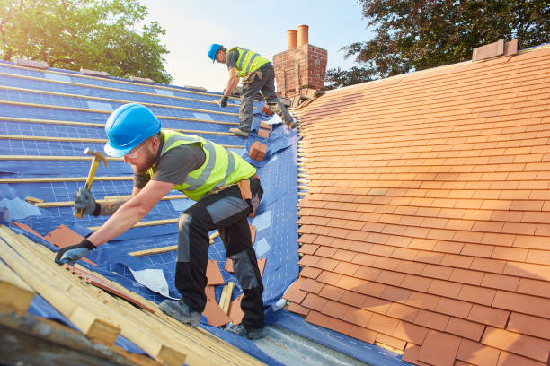 Best Roof Ventilation Installation  in Munfordville, KY